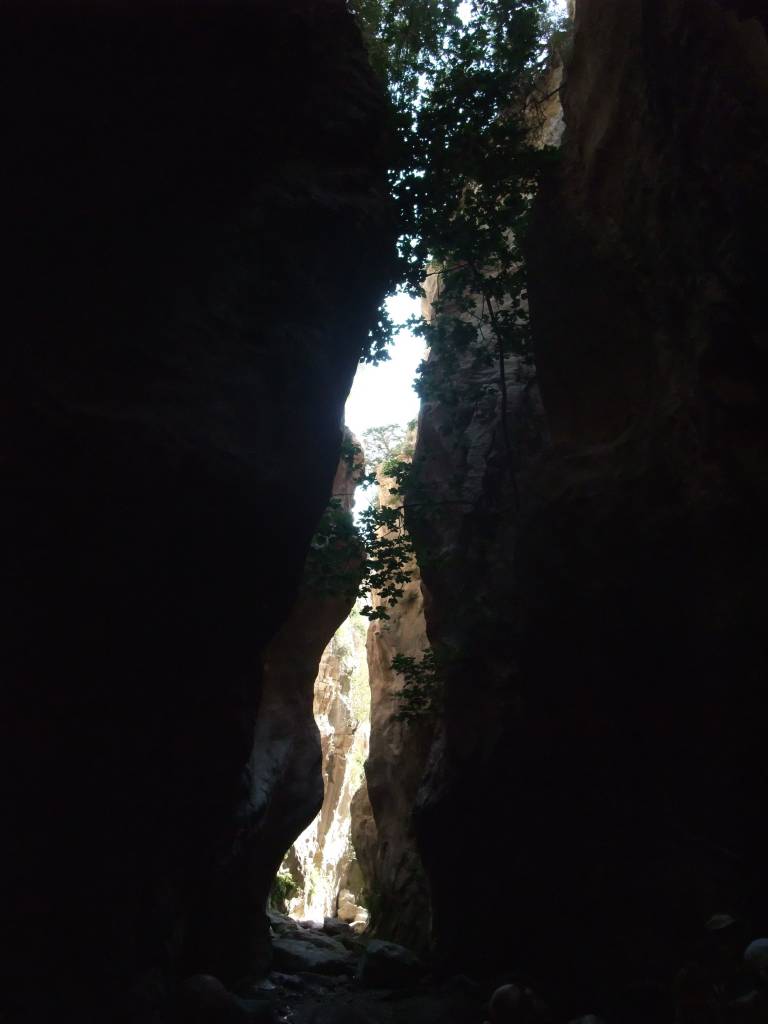 L'ile de Chypres: Chypres